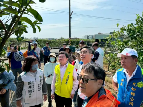 ▲本該在2月結果的檸檬，卻出現大量落果情形，產量大減。（圖／立委鍾佳濱提供）