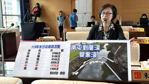台中劉厝溪遇雨變「烏溪」 環保局長曝這物行情不好被放水流 ▲台中市議員朱暖英指劉厝溪至今污黑一片,農民憂心即將收成的稻子被毀,(圖/台中市議員朱暖英提供,2025.05.07)