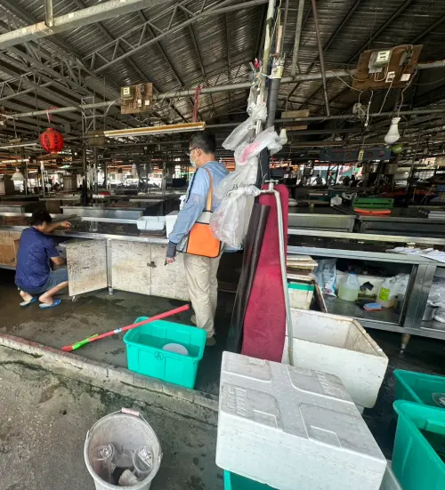 動保處人員前往了解,並把兩隻流浪貓帶回觀察治療,所幸沒有大礙。(圖/讀者提供) ▲動保處人員前往了解,並把兩隻流浪貓帶回觀察治療,所幸沒有大礙。(圖/讀者提供)