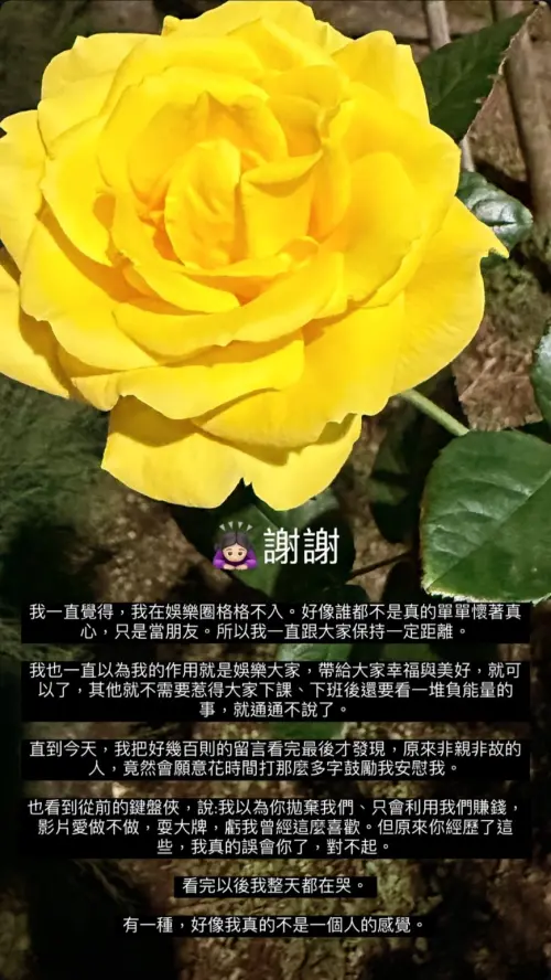 陳佩佩(圖/翻攝自陳佩佩IG) ▲陳佩佩(圖/翻攝自陳佩佩IG)