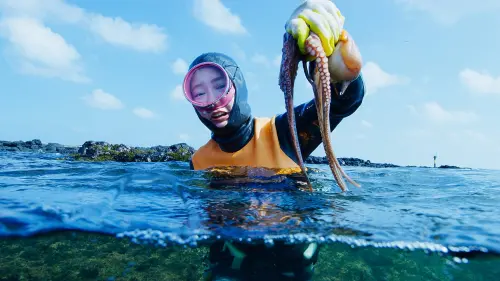 ▲宋智孝投入《潛進韓國：宋智孝的海女冒險》拍攝，努力學會潛水。（圖／甲上、BBC）