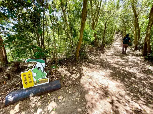 ▲大坑5-1號步道沿途生態十分豐富(圖／觀旅局提供2025.5.9)