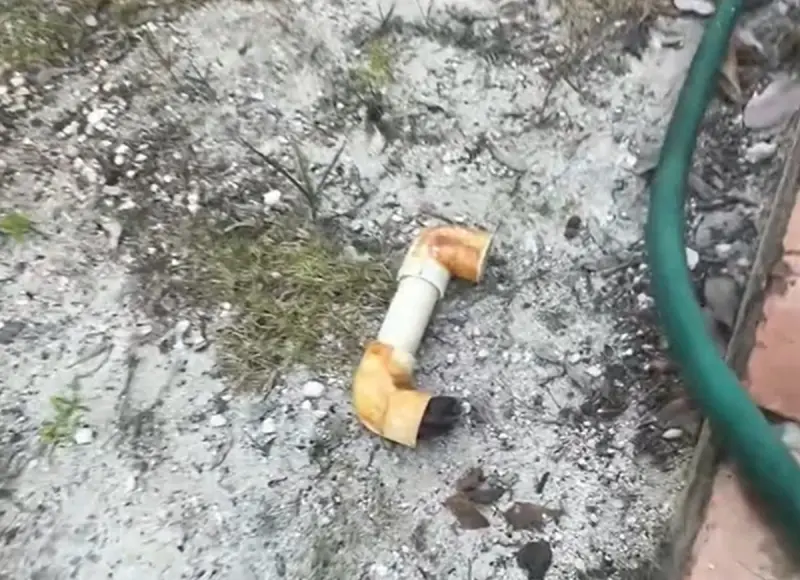 ▲院子突然驚見水管動了，民眾近距離直擊曝光真實身分，讓許多人直喊「撿到寶藏了！」（圖／TikTok@morgiepb）