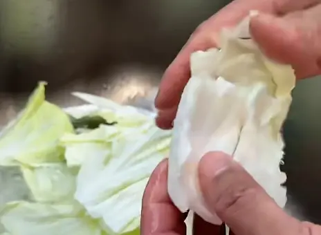 ▲高麗菜用手撕、不用刀切,炒起來口感會更清脆。(圖/截自溫國智YouTube) ▲高麗菜用手撕、不用刀切,炒起來口感會更清脆。(圖/截自溫國智YouTube)