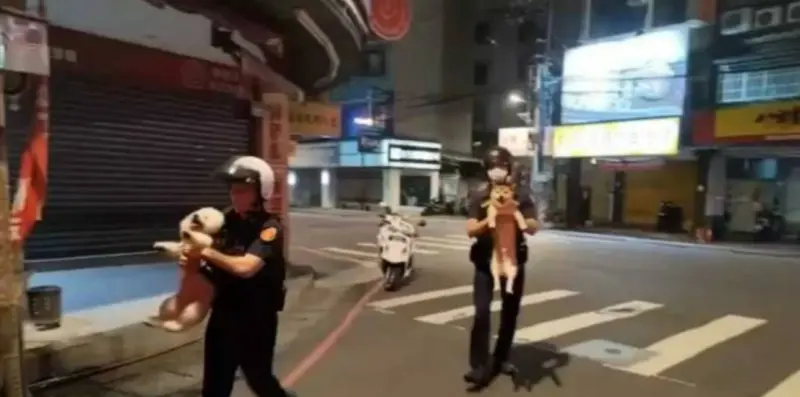 ▲員警半夜巡邏時發現走失的比熊犬跟柴犬，懷疑2狗走丟而上前關心並帶上警車。（圖／翻攝畫面）