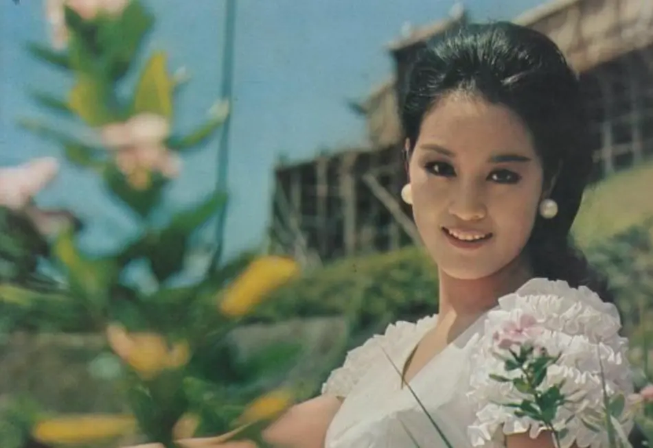 ▲女星何莉莉（如圖）嫁給香港船業豪門之子趙世光，婚後43年丈夫多次出軌她也不願離婚，最終在趙世光過世後，何莉莉與子女繼承近300億遺產，沒讓小三及私生子得逞。（圖／翻攝自微博）