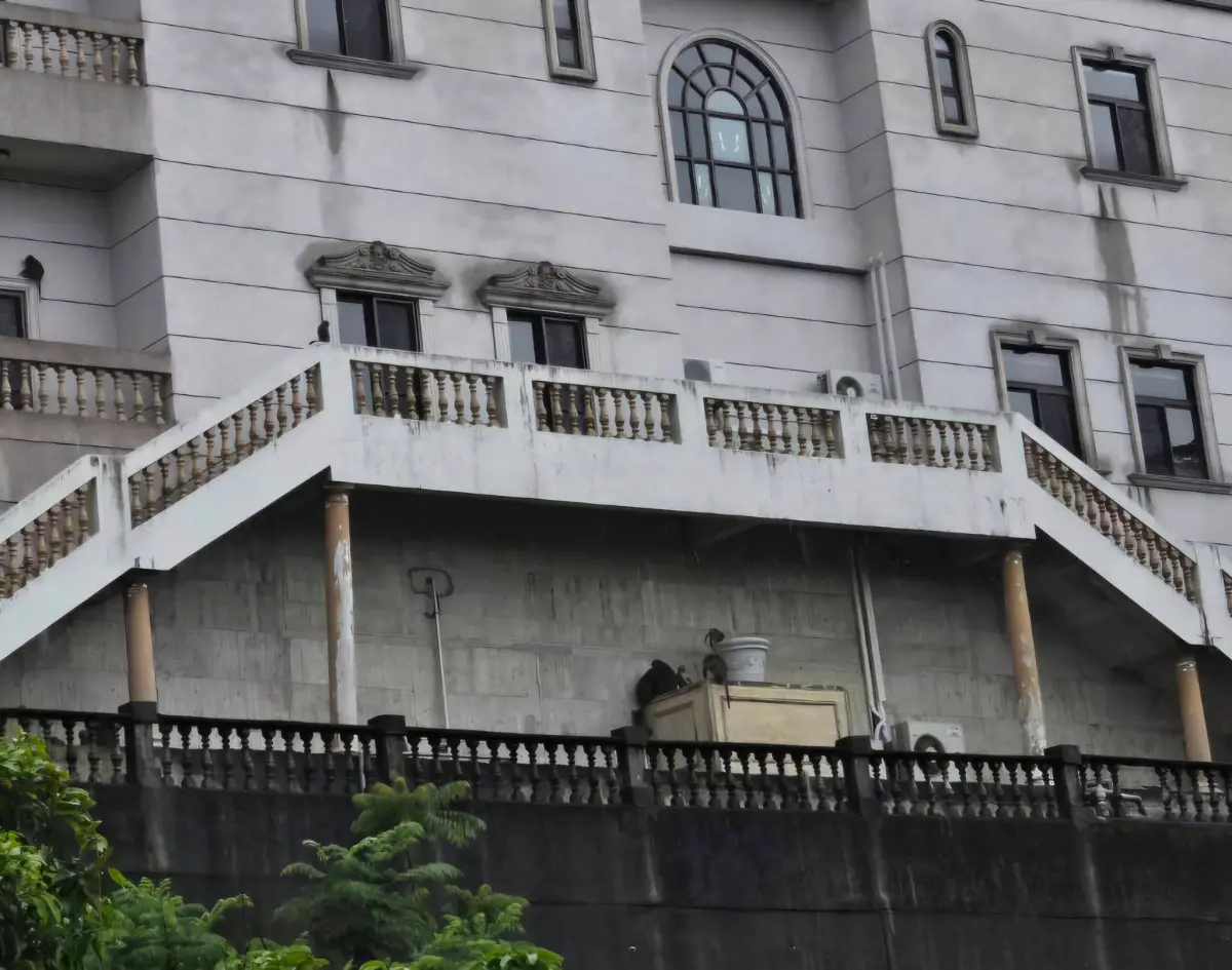 ▲劉芯彤表示，王羽價值4億元的故居已經被猴群霸占。（圖／翻攝自主播劉芯彤臉書）