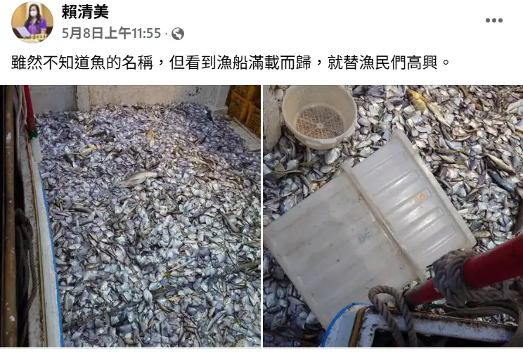 獨／彰縣議員臉書分享漁民濫捕魚苗　遭網友炎上留言砲轟怒罵