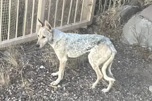 ▲（圖／翻攝自臉書）