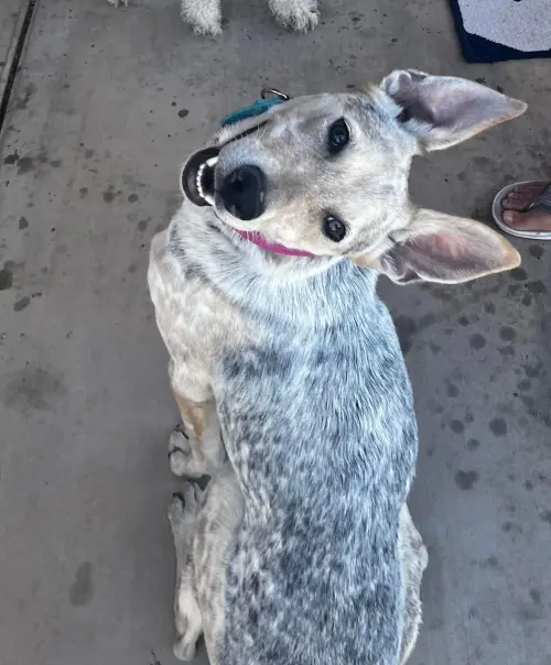 ▲（圖／翻攝自臉書）