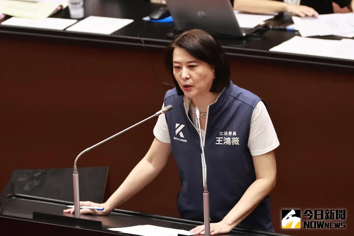 ▲國民黨立委王鴻薇今（16）日建議黨主席朱立倫真的不用去總統賴清德的國安簡報。（圖／資料照片）