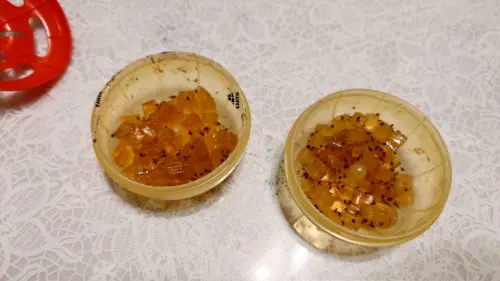 ▲原PO曬出滿滿果蠅的戰果照片，只見餌劑上布滿果蠅。（圖／翻攝自我愛全聯-好物老實說臉書社團）