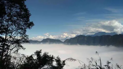 忘憂森林因位於高山上,經常呈現煙霧瀰漫的獨特美景,許多遊客都被吸引至此享受獨有的寧靜空間。(圖/南投旅遊網) ▲忘憂森林因位於高山上,經常呈現煙霧瀰漫的獨特美景,許多遊客都被吸引至此享受獨有的寧靜空間。(圖/南投旅遊網)