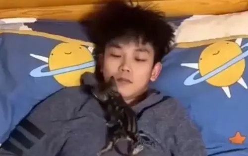 ▲男子一開始收編的貓咪只有巴掌大小。（圖／翻攝微博）