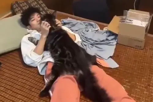 ▲現在貓咪身長已經和飼主快要差不多。（圖／翻攝微博）