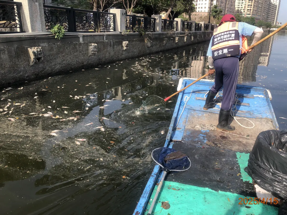 ▲因應月底國際龍舟錦標賽即將登場，全面展開清理作業，日夜不斷守護安平運河，自今年1月迄今已清除垃圾及死魚12.27公噸。(圖／南市府環保局提供)