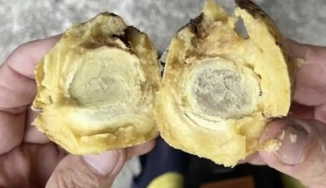 ▲7名外國遊客在泰國遊玩時，看到神秘果實摘下來吃，竟然口吐白沫，只能趕緊送醫急救。（圖／翻攝自臉書）