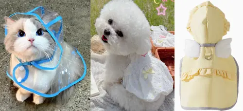 ▲最熱銷的寵物服飾，包括萌度爆表的彩色刺繡裙、紳士寵物裝，以及具備機能性的雨衣，都是必買清單。（圖／翻攝網路）