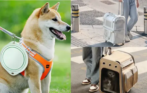 ▲毛孩夏日出遊的商品必買清單，包括寵物外出籠、寵物雙層巴士外出包，以及外出摺疊碗等。（圖／翻攝網路）