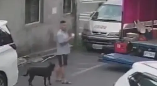 ▲一人一狗在香客車的後方閒逛觀望。（圖／翻攝豐原白沙屯媽祖文化協進會臉書，2025.05.16）