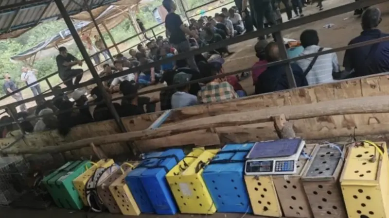 ▲馬來西亞警方查獲位在森林裡的地下賭場。（圖／翻攝自中國報）