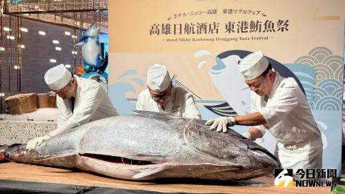 ▲高雄日航酒店攜手屏東縣東港區漁會,自產地直送183公斤頂級黑鮪魚,由日本料理飛翔總料理長瀨戶本秀人與壽司料理長長瀨剛聯手操刀,帶來壯觀的「黑鮪魚解體秀」 。(圖/記者陳美嘉攝,2025.05.16) ▲高雄日航酒店攜手屏東縣東港區漁會,自產地直送183公斤頂級黑鮪魚,由日本料理飛翔總料理長瀨戶本秀人與壽司料理長長瀨剛聯手操刀,帶來壯觀的「黑鮪魚解體秀」 。(圖/記者陳美嘉攝,2025.05.16)