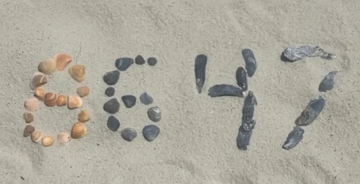 ▲柯米（James Comey）分享一張在海灘用貝殼排成「8647」的照片，引發川普粉絲不滿。（圖／翻攝柯米IG）