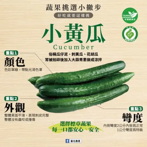 ▲台北農產曾分享,小黃瓜要挑表面「刺疣」完整、不要太彎的才最好吃。(圖/台北農產臉書) ▲台北農產曾分享,小黃瓜要挑表面「刺疣」完整、不要太彎的才最好吃。(圖/台北農產臉書)