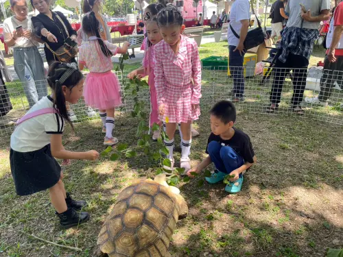 ▲活動場邊更設有流浪動物認養專區與陸龜生態教育展示,寓教於樂,兼顧生命教育與動物關懷,讓活動更具公益意義。(圖/市議員黃文益辦公室提供) ▲活動場邊更設有流浪動物認養專區與陸龜生態教育展示,寓教於樂,兼顧生命教育與動物關懷,讓活動更具公益意義。(圖/市議員黃文益辦公室提供)