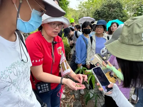▲高市青年局「山海探險隊」帶領青年走訪旗山南勝社區,在社區植名秘書陳春月(紅衣者)的解說下`認識荔枝種植的環境與果實生長樣貌。(圖/高市府青年局提供) ▲高市青年局「山海探險隊」帶領青年走訪旗山南勝社區,在社區植名秘書陳春月(紅衣者)的解說下`認識荔枝種植的環境與果實生長樣貌。(圖/高市府青年局提供)
