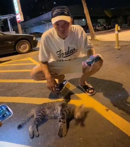 疑不滿愛媽餵食 浪貓被毒死不瞑目!江和樹喊:去找害你的人報仇 ▲江和樹對暴斃的浪貓說「誰害死你的,就去找他報仇」。(圖/台中市議員江和樹提供,2025.05.20)