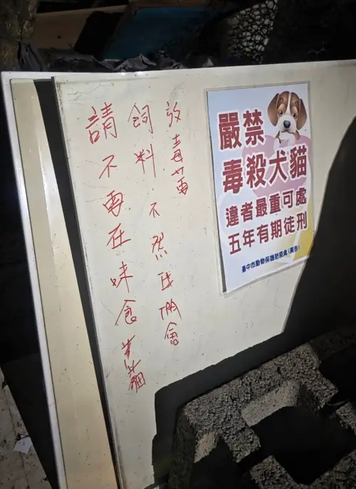 疑不滿愛媽餵食 浪貓被毒死不瞑目!江和樹喊:去找害你的人報仇 ▲民眾在市府「嚴禁毒殺犬貓」的告示牌旁留言,揚言要放毒藥。(圖/台中市議員江和樹提供,2025.05.20)