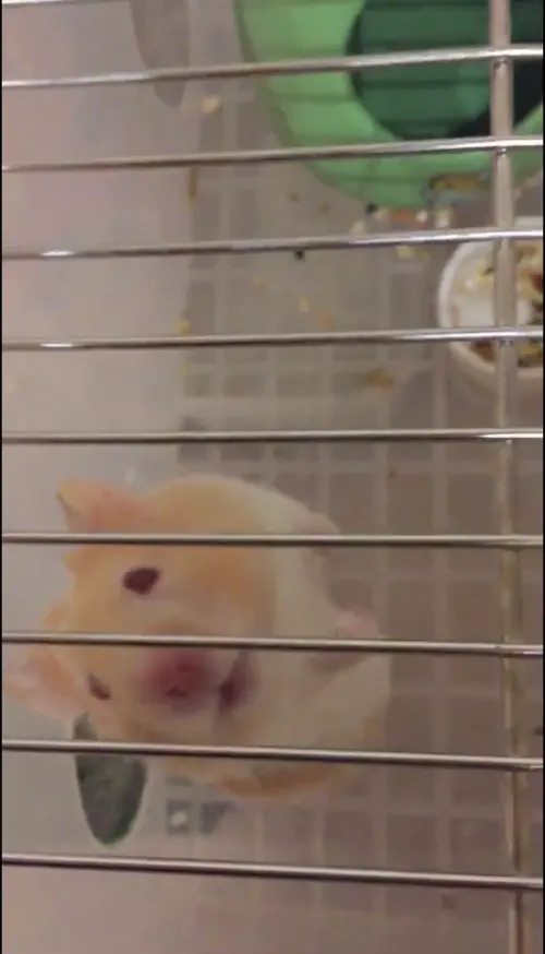 ▲(圖/記者賴禹妡攝) ▲(圖/記者賴禹妡攝)