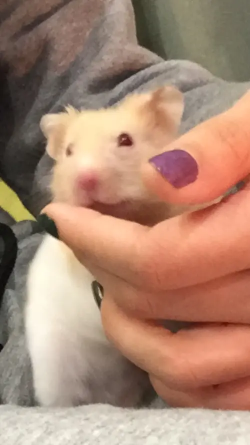 ▲(圖/記者賴禹妡攝) ▲(圖/記者賴禹妡攝)