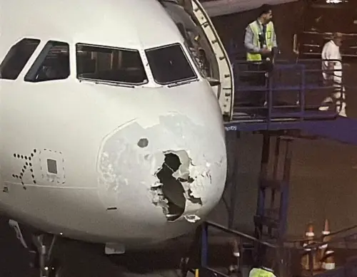 ▲飛機降落後，人們驚恐的發現，機頭破了個大洞，應是被冰雹砸出的。（圖／翻攝自每日郵報）