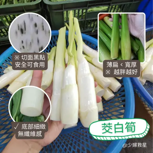 ▲購買茭白筍時，觀察外觀最為重要，包括顏色、飽滿度、節點等。（圖／廖炯程提供）
