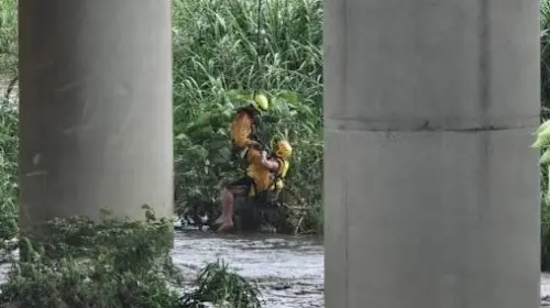 暴雨狂炸!台中烏溪釣客困沙洲 消防隊「空降救援」驚險瞬間曝