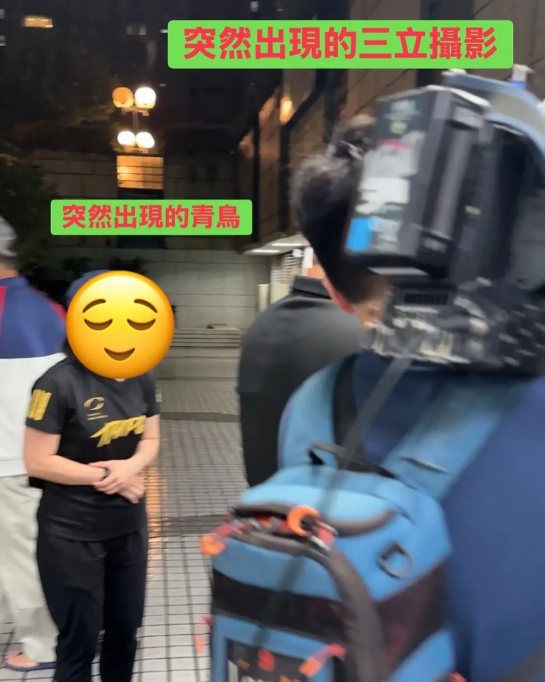 自導自演？王鴻薇爆青鳥帶綠媒「製造我被嗆」 出1招對方秒閉嘴