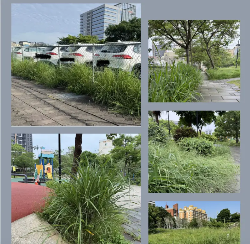 ▲林志潔表示新竹市雜草叢生，痛批不如來發展市內畜牧業。（圖／翻攝自林志潔臉書）