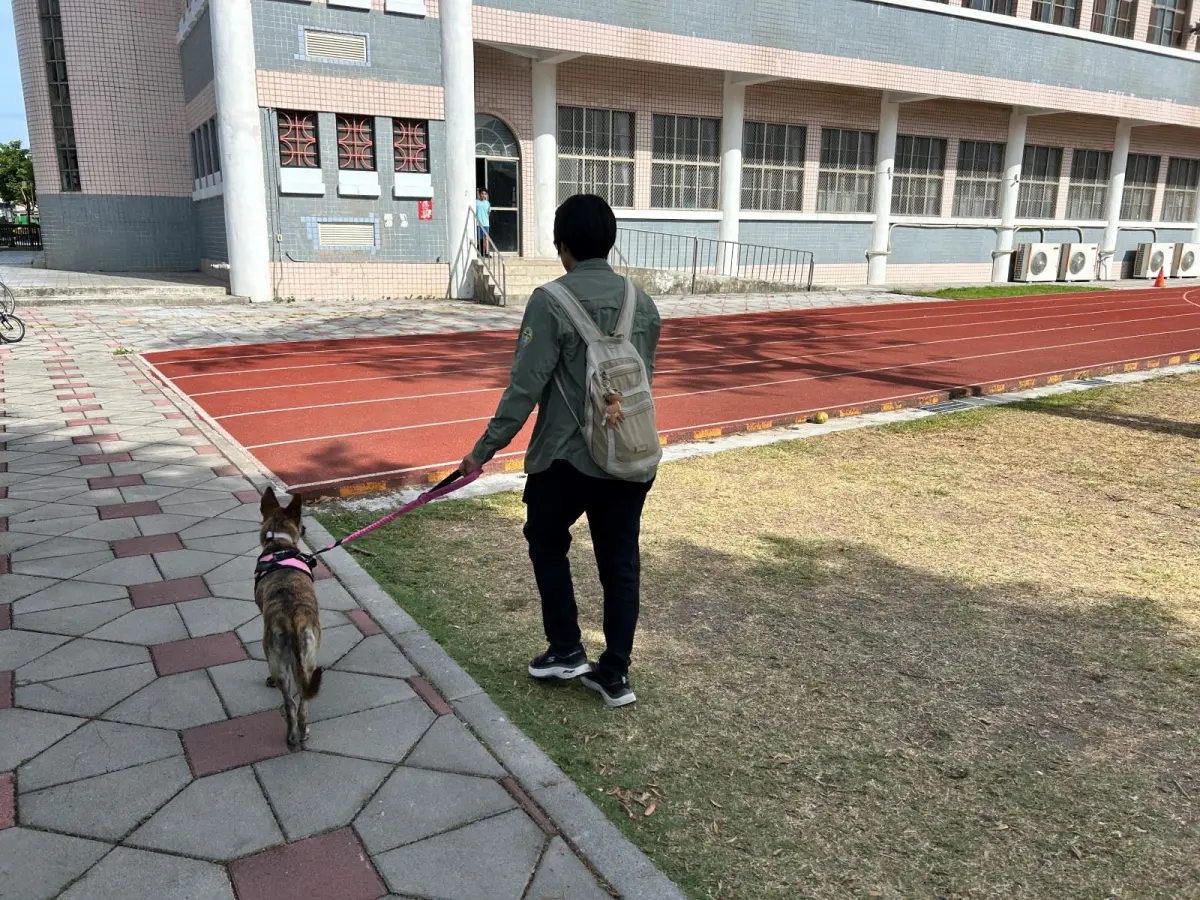 ▲屏東縣動保條例今（28）日起上路，遛狗不繫繩最高開罰1萬5000元。（圖／屏東縣農業處）