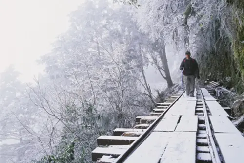 ▲見晴懷古步道冬季白茫茫的景象，廣受台灣知名追雪景點。（圖／太平山國家森林遊樂區官網）