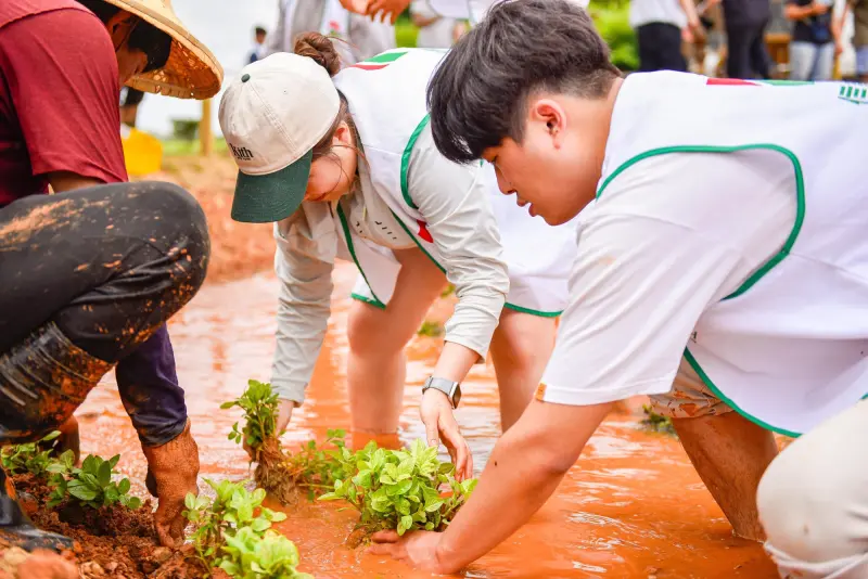 ▲信義志工分組栽植原生水草，著手復育瀕危水生植物，重建台灣原生魚類的棲地樣貌。（圖／信義房屋提供）