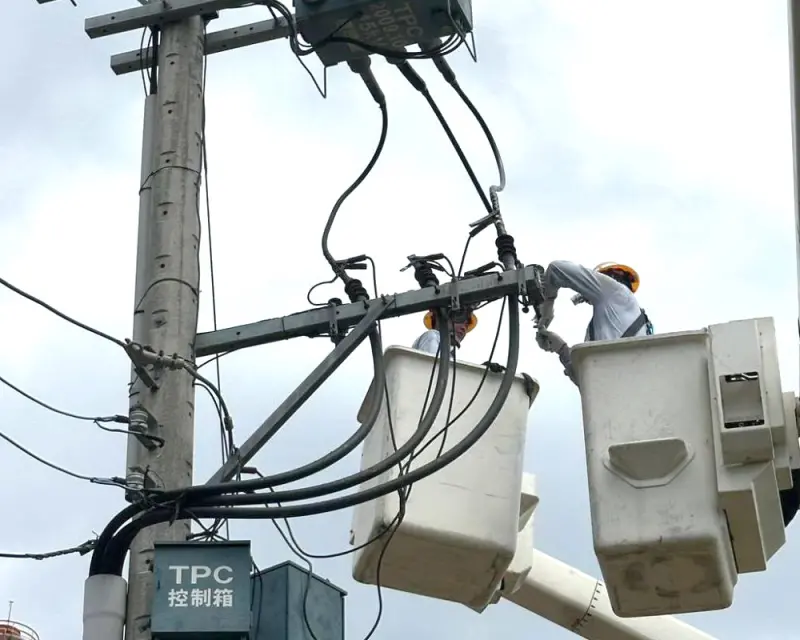 不是松鼠！桃園八德晚間逾4千戶停電　台電：肇因為鳥類築巢