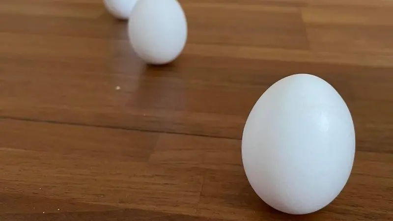 ▲2025端午節快樂！傳統習俗吃粽子、划龍舟、掛艾草、做午時水，最多人挑戰「中午立蛋」。為什麼端午節要立蛋？立蛋由來與意義是什麼？立蛋原理、時間一次整理，成功「立蛋好運」一整年秘訣技巧公開。（圖／民眾提供）