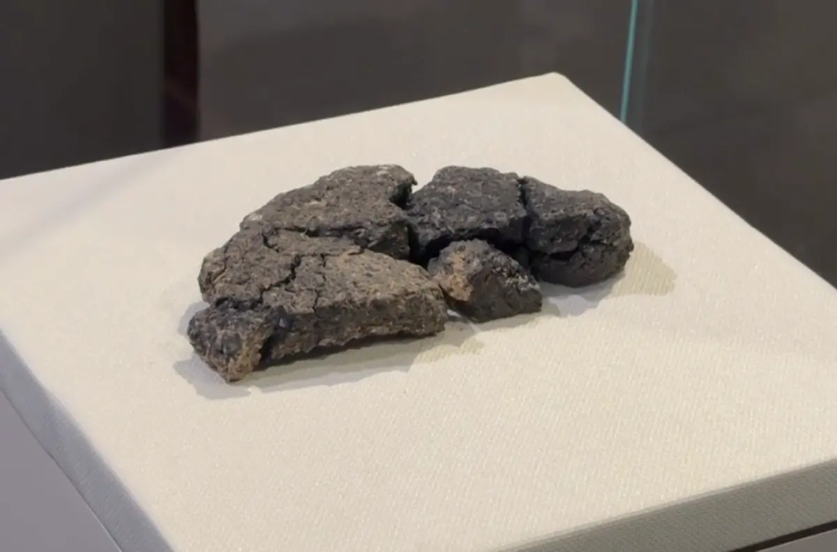 考古挖出完整碳化麵包！土耳其重現5000年前古法 引發搶購潮