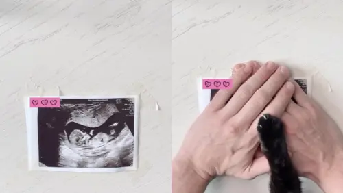 ▲查理（Charlie）（圖／翻攝自Charlie IG）