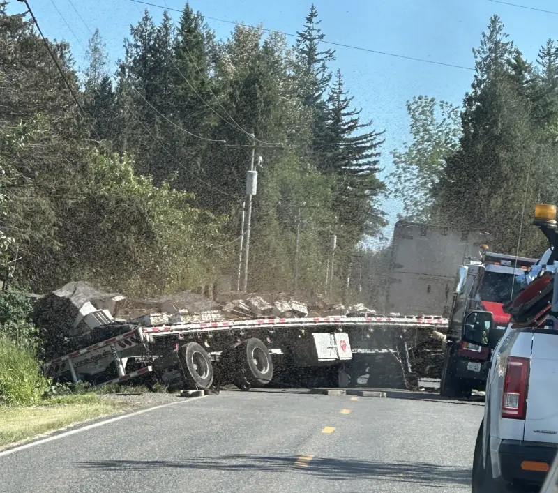 ▲美國華盛頓西北部30日一輛運蜂卡車翻覆，約2.5億隻蜜蜂逃脫。（圖／Whatcom County Sheriffs Office 臉書）