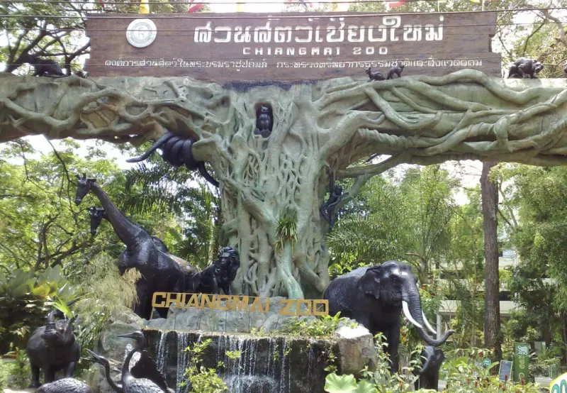 ▲泰國清邁動物園驚傳中國遊客對女實習生襲臀。（圖／翻攝自Chiang Mai Guidline）