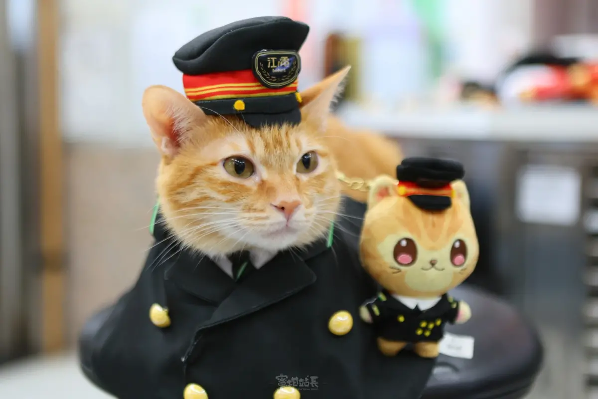 高捷貓站長蜜柑「6月進軍日本」！制服萌樣曝光 彩繪列車繼續開