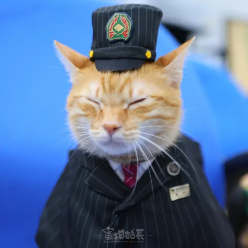 ▲「蜜柑站長」穿上日本鐵道公司制服也好可愛。（圖／高雄捷運-蜜柑站長）